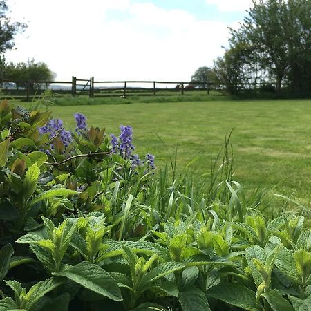 Cotswolds Mine Hill House Bed & Breakfast Lower Brailes Exterior foto