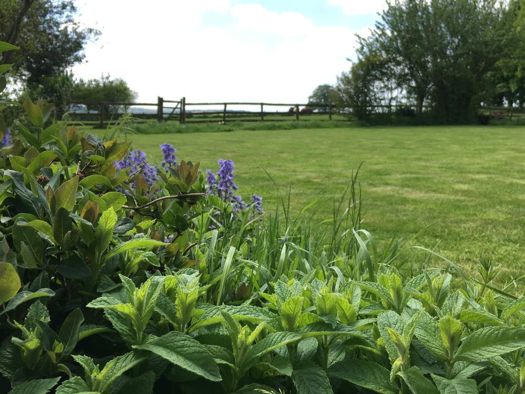 Cotswolds Mine Hill House Bed & Breakfast Lower Brailes Exterior foto