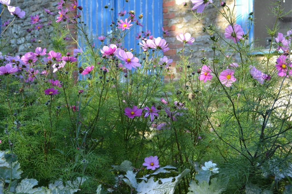 Cotswolds Mine Hill House Bed & Breakfast Lower Brailes Exterior foto